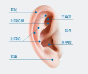 4d84b2cd420efa6e87cf06e6bc52e76.png