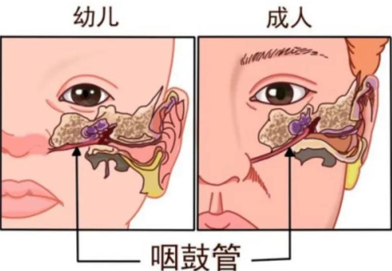 图片1.png 图片1.png