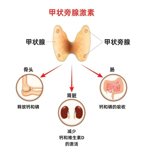 e13fd386b0709ffdd8bc9066184465ae.png e13fd386b0709ffdd8bc9066184465ae.png