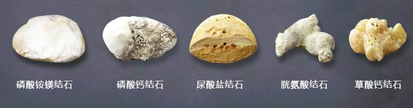 ec828f04136ed15b28e468e26c2649d0.png