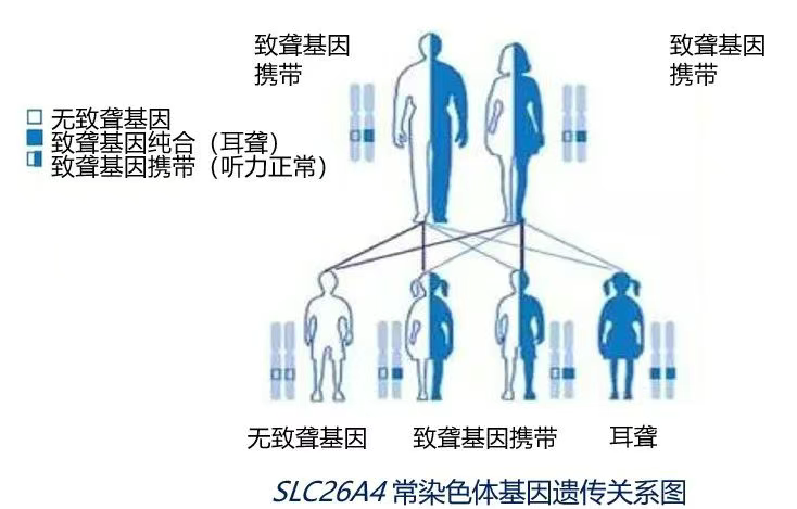 cb15b957feef57c18387c2e8d8f03962.png