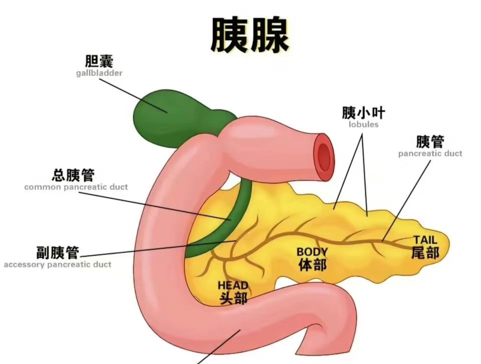 微信图片_2025-08-15_155520_769.png