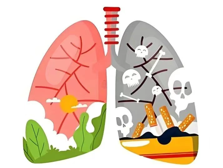 1f959a4785e0e8bd6077d016418c457e (2).png