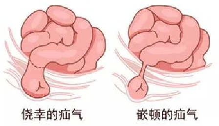 d2303b1953a2b420.jpg