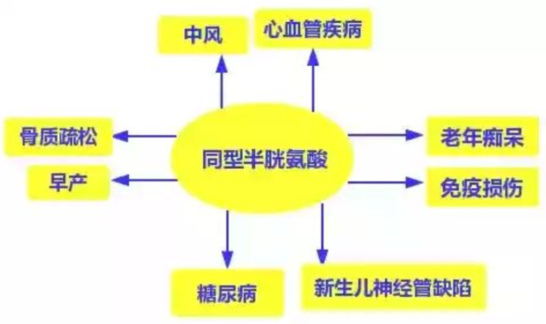 393ddc9a-67a4-4f66-95da-5c635876ddba.png