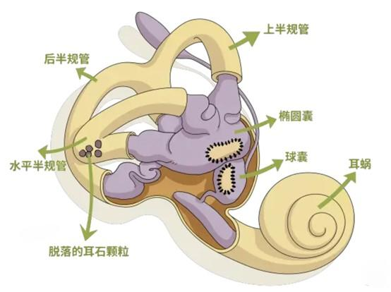 8fcac32be79aa0958c5c56c2c5fe5148.png