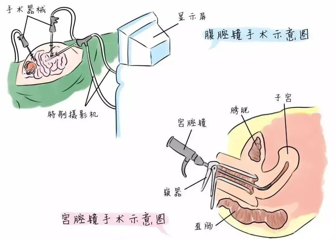 fe9e26205b2ab5ca21c5f9f96f6e44c9.jpg