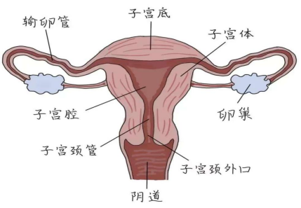 0450b5f7-3869-4af4-ad2c-56902e2dbc22.png