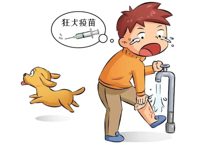 a62e536809f7b6e443e6cb350b74b3b4.png