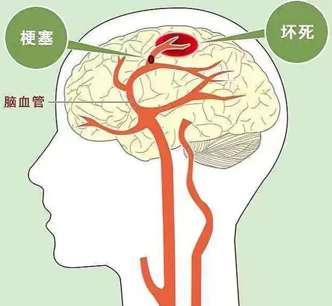 1e992fcf96d25e756e1e5b03afb3f203.jpg