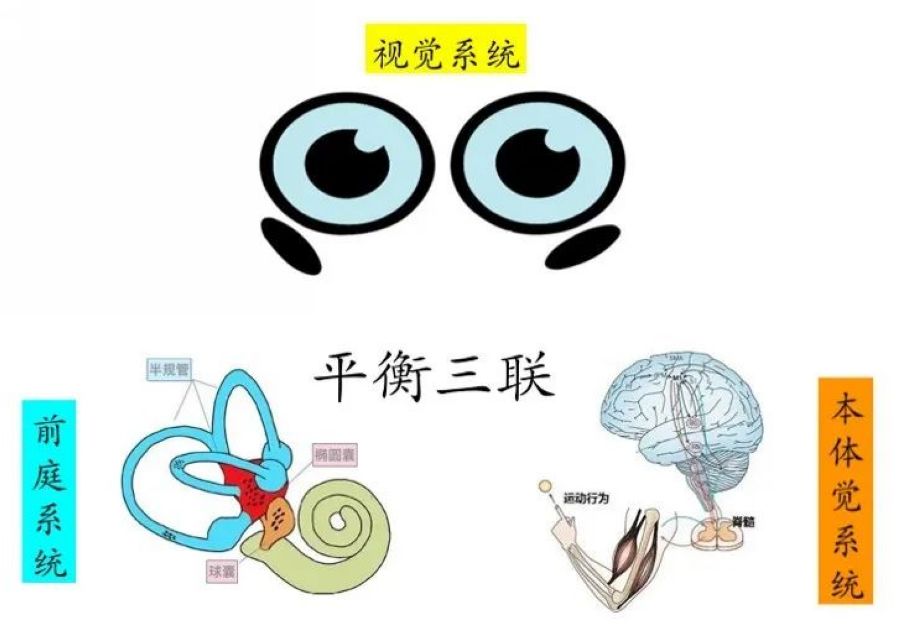 nEO_IMG_微信图片_20220707163623.jpg