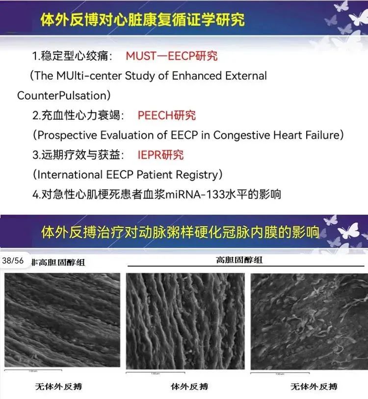 微信图片_20220819164411.jpg