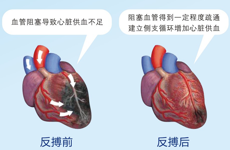 微信图片_20220819164430.png