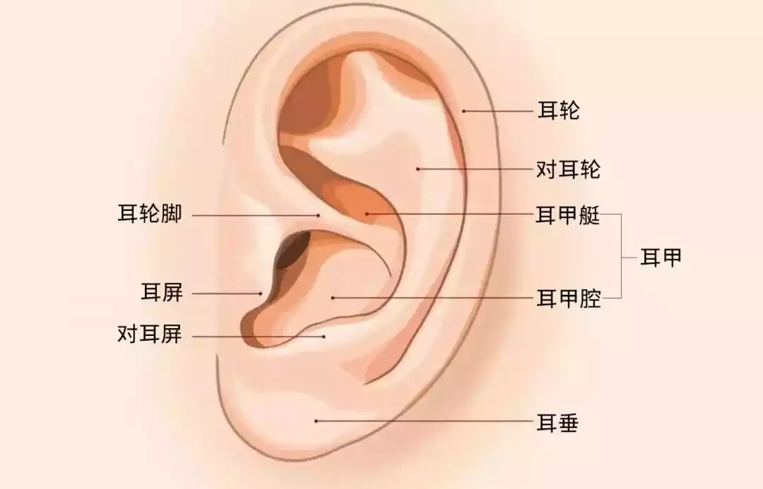 640 (1).png